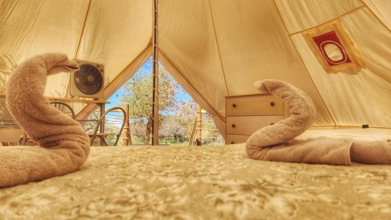 Glamping Dunas Del Sol Сан-Педро-де-Атакама Экстерьер фото